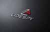 Lidespy logo