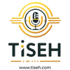 TISEH LIMITED logo