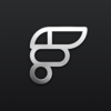 Flash Motion logo