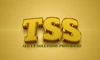 Tech Sol Studio logo