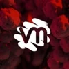 Visual Minds logo