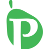 The Paro Consulting Group logo