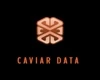 Caviar Data logo
