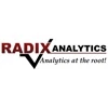 Radix Analytics Pvt Ltd logo