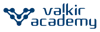 Valkir Academy logo
