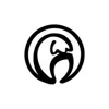Icetulip logo