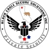 Black Eagle Secure Solutions Inc logo