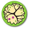 SIARA DESIGNS logo