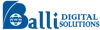 Balli Digital Solutions logo