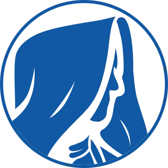 Software Prophets logo