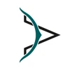Digital Archer logo