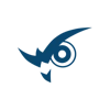 Wise Vision logo