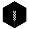 Contversion logo