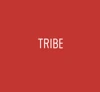 TRIBE Riga logo