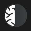 Developism Agency logo