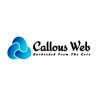 Callous Web Private Limited logo