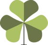 Shamrock Designs logo