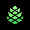 CleverPine logo