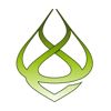 Ethervision logo