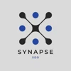 Synapse SEO logo