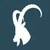 Ibex Creative logo