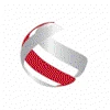 Business & Services Solutions logo