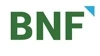 BNF Consulting logo