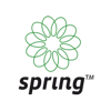 Spring Technologies logo