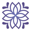 DigitSilk logo