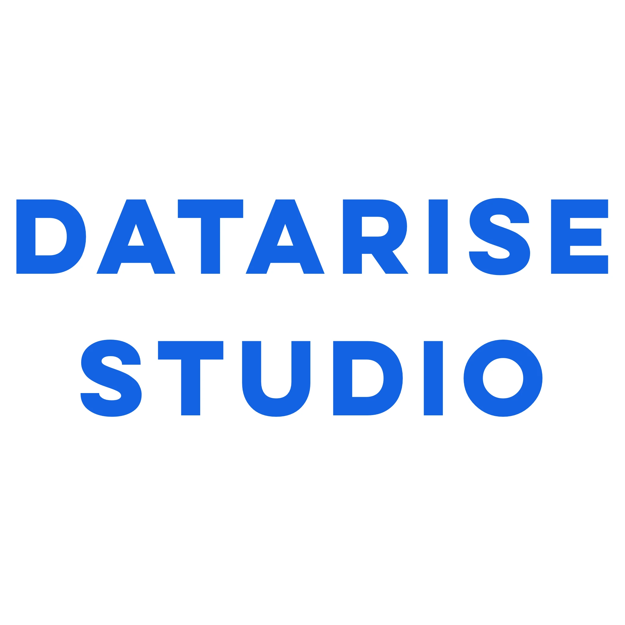 DataRise Studio logo