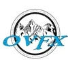 Olympus VFX logo