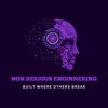 Non Serious Engineering logo