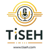 TISEH LIMITED logo