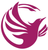 Phoenix Virtual Solutions logo