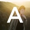 Albert Law logo
