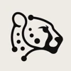 Code Cheetahs logo