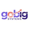 GoBIG Systems, Inc. logo