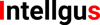 Intellgus - Outsourcing Accounting Company logo
