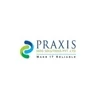praxis-info-solutions logo