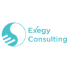 Exegy Consulting logo
