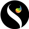 Synergetic Media logo
