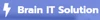 Brain IT Solution logo