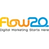 Flow20 logo