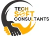 Tech Soft Consultants logo