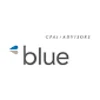 Blue & Co., LLC logo