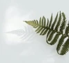 Focus Lawns logo
