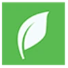 Netleaf Software logo