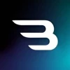BOGLEX SRL logo