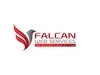 Falcan Web Services logo