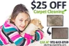 Cleaning Carpet Dallas logo